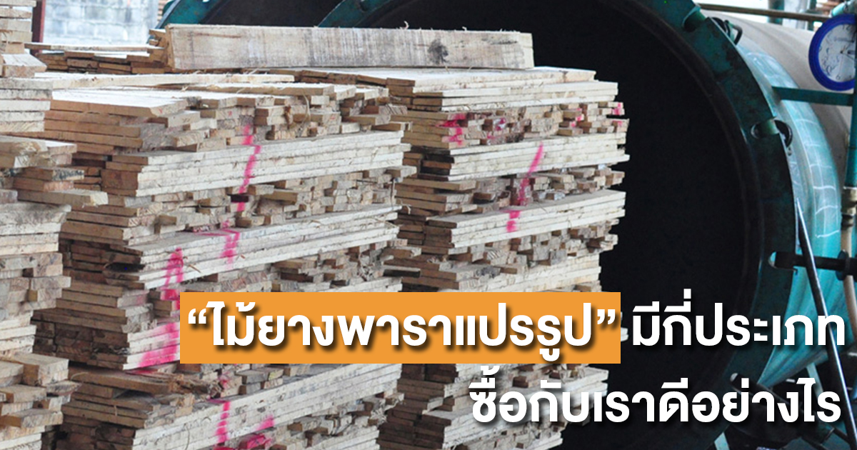 ไม้ยางพาราแปรรูป - ปก