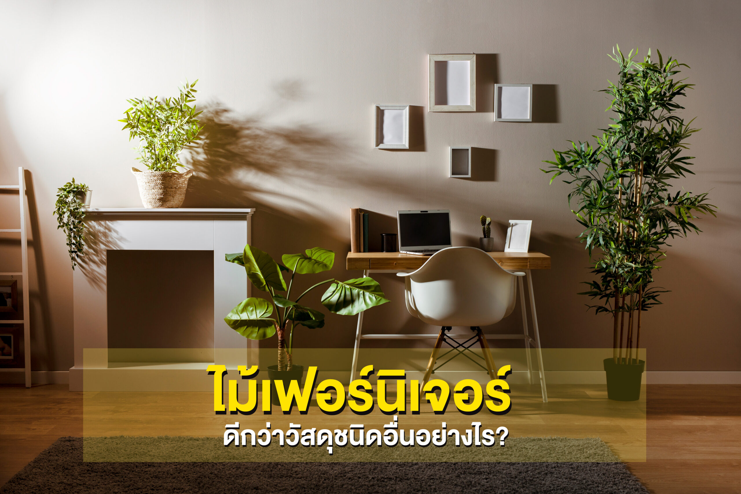 ไม้เฟอร์นิเจอร์