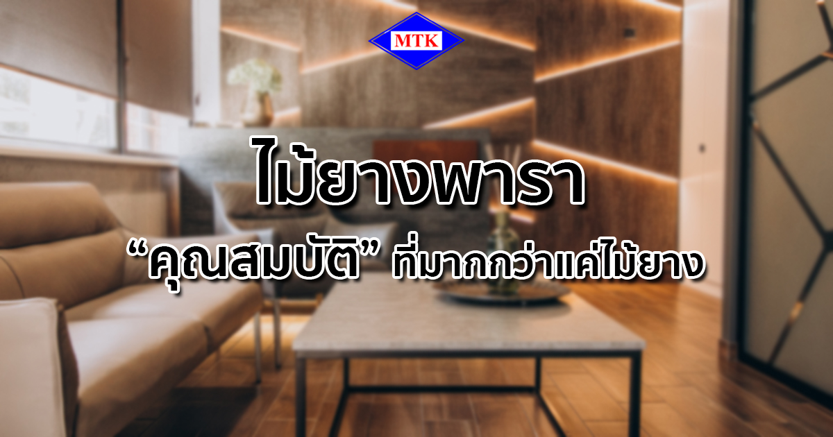 ไม้ยางพารา คุณสมบัติที่มากกว่าแค่ไม้ยาง - ปก