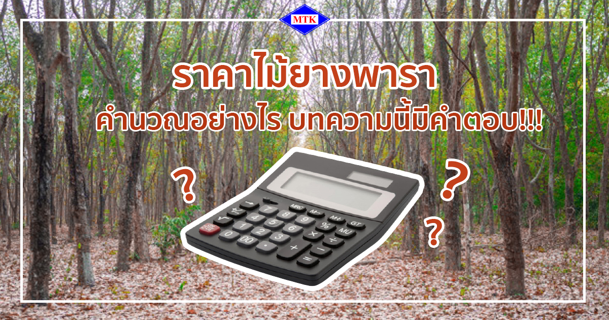 ราคาไม้ยาพารา คำนวณอย่างไร - ปก