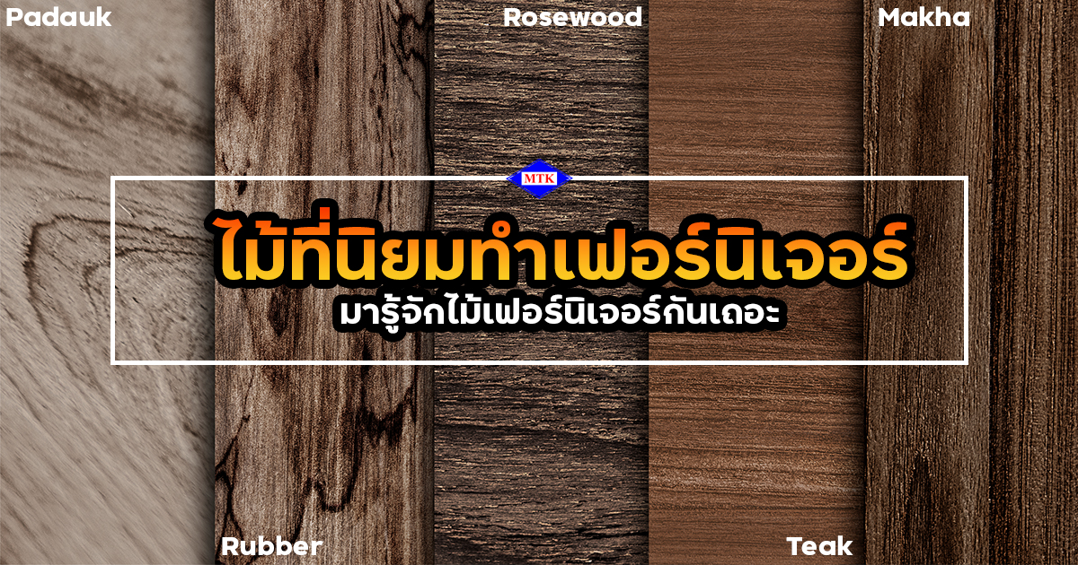ไม้ที่นิยมทำเฟอร์นิเจอร์ มีกี่ชนิด มารู้จักไม้เฟอร์นิเจอร์กันเถอะ!!!