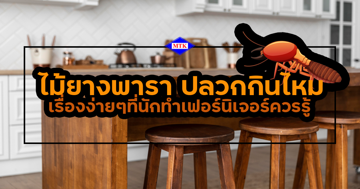 ไม้ยางพารา ปลวกกินไหม ? เรื่องง่ายๆที่นักทำเฟอร์นิเจอร์ควรรู้