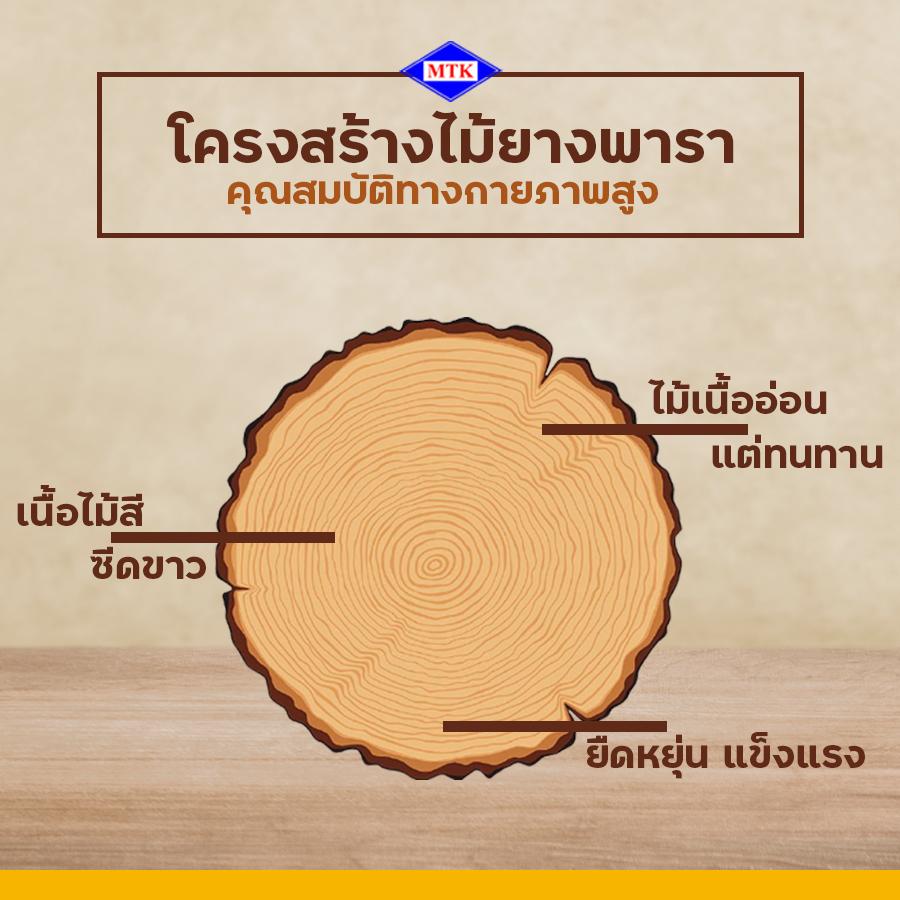 ไม้ยางพารา ปลวกกินไหม