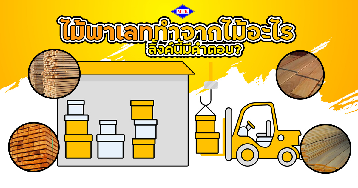 ไม้พาเลท ทําจากไม้อะไร ต่างจากพาเลทไม้ไหมลิ้งค์นี้มีคำตอบ?