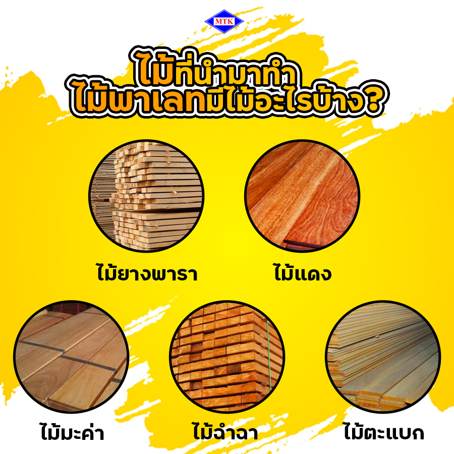 ไม้พาเลท ทําจากไม้อะไร