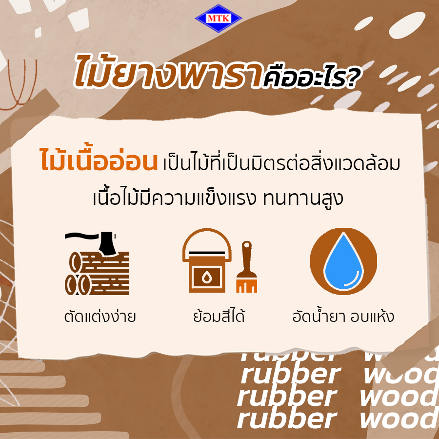 ไม้ยางพารา กับ ไม้สัก