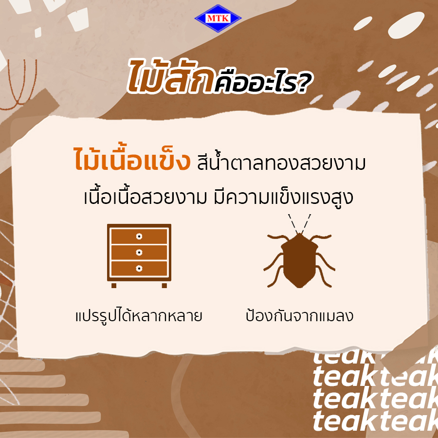 ไม้ยางพารา กับ ไม้สัก