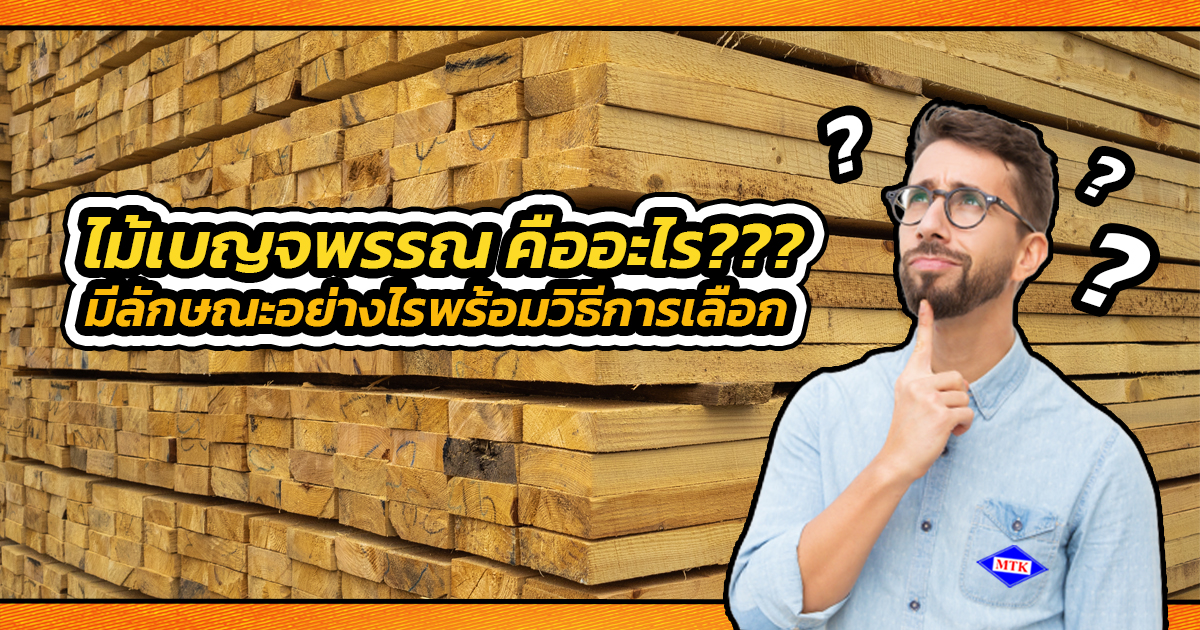 ไม้เบญจพรรณ คือ มีลักษณะอย่างไรพร้อมวิธีการเลือก!!!