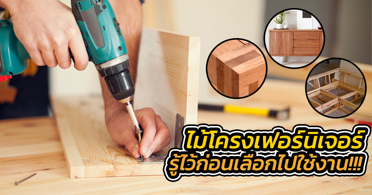 ไม้โครงเฟอร์นิเจอร์ รู้ไว้ก่อนเลือกไปใช้งาน !!!