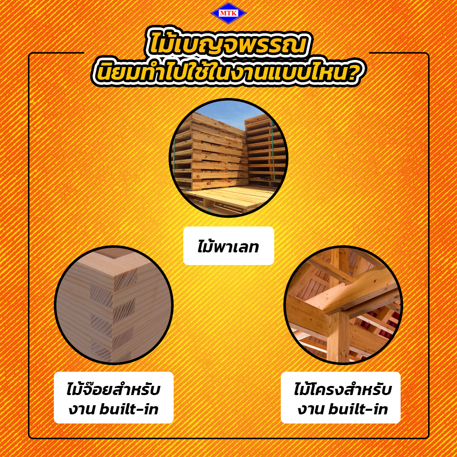 ไม้เบญจพรรณ คือ