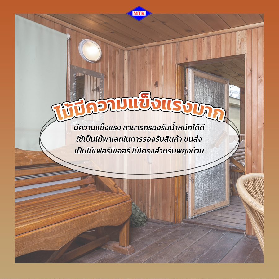 ไม้เบญจพรรณ ทนไหม มีคุณสมบัติอย่างไรบ้าง แข็งแรงมาก