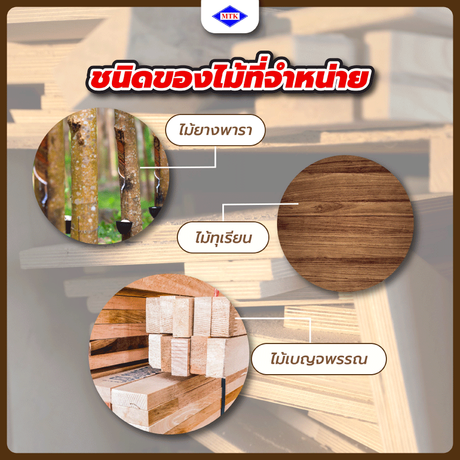 ชนิดของไม้ที่จำหน่าย