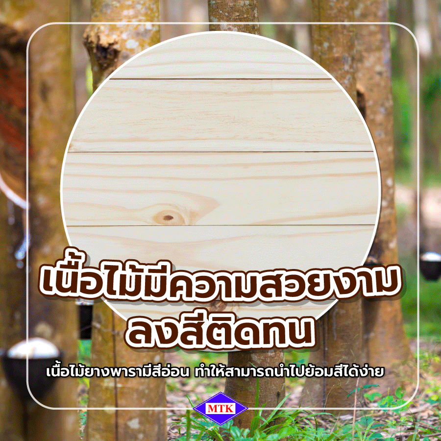เนื้อไม้ของ ไม้ยางพาราประสาน