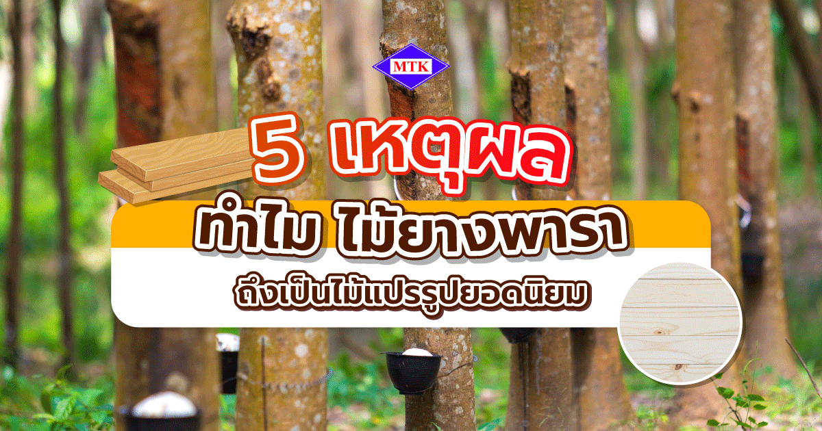 5 เหตุผลของ ไม้ยางพารา